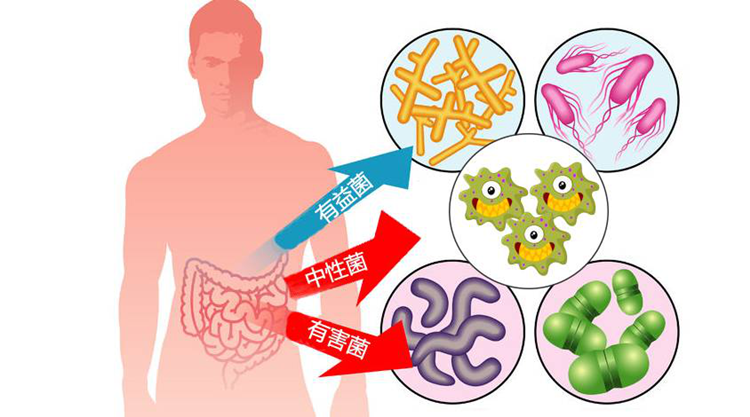 銀川伊百盛生物工程有限公司